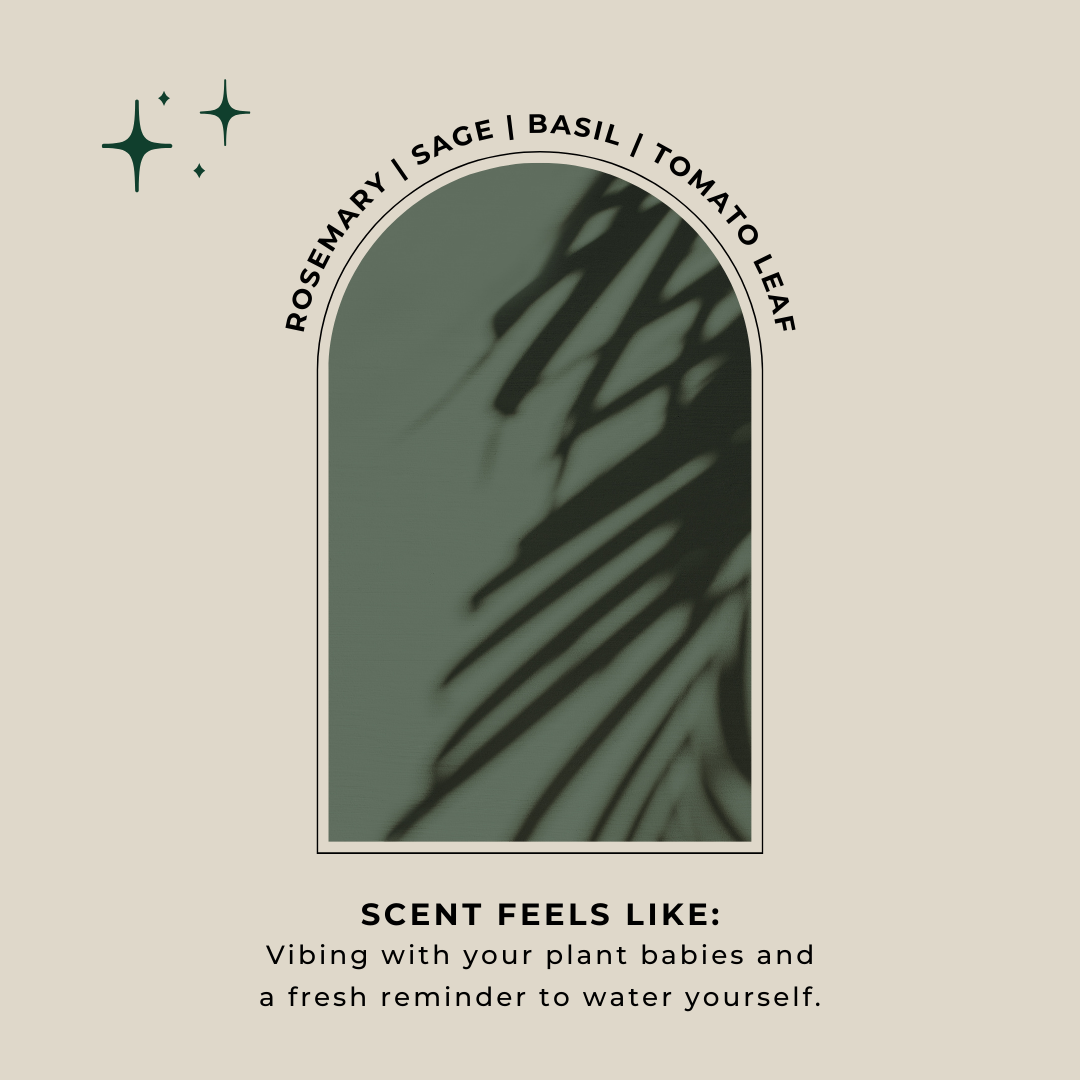 PLANT MAMI TRAVEL TIN