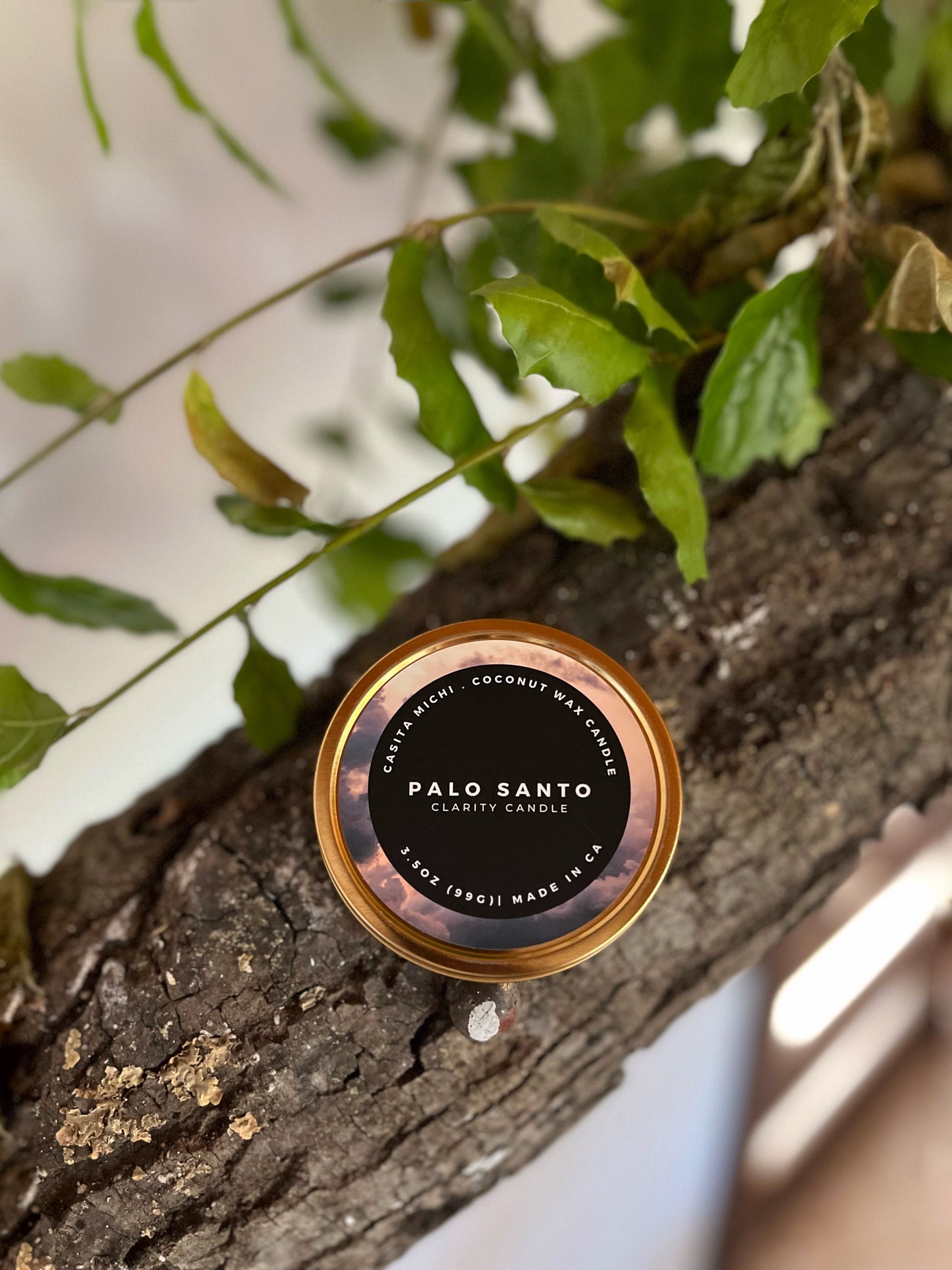 LATA DE VIAJE PALO SANTO