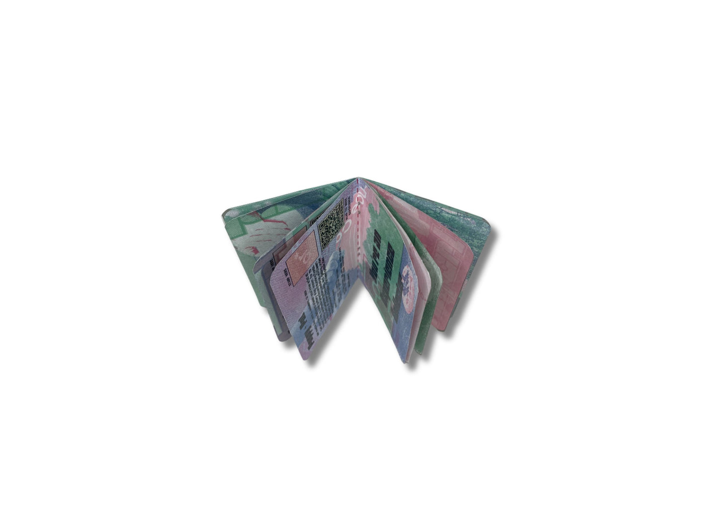 Summer 2025 | Workshop Passport 02